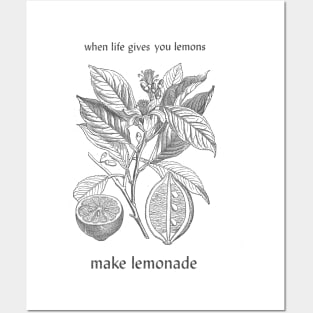 When life gives you lemon, make lemonade Posters and Art